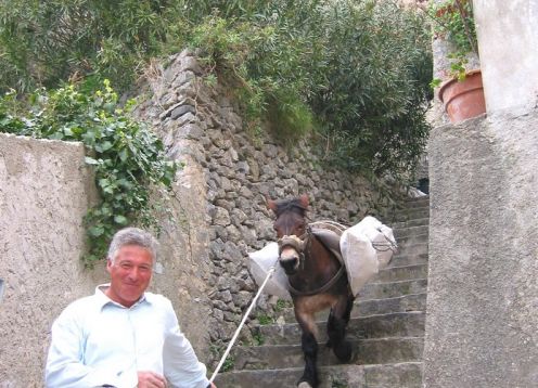 Pax man walking donkey down stairs