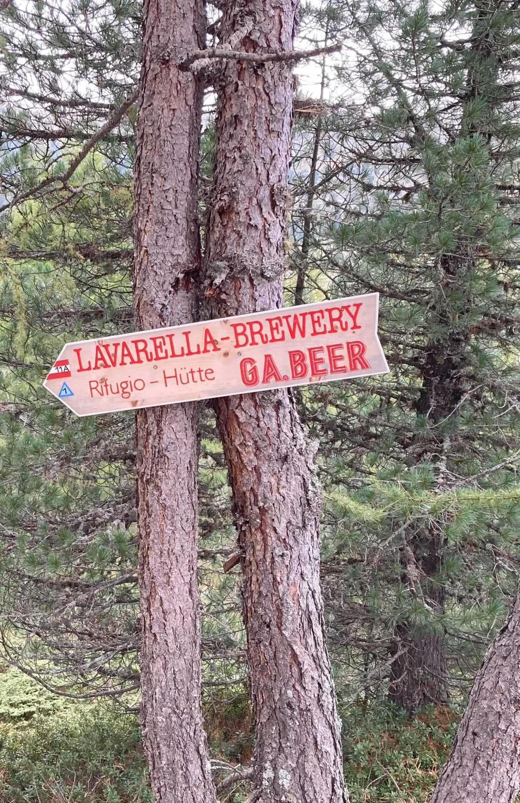 IMG 0197