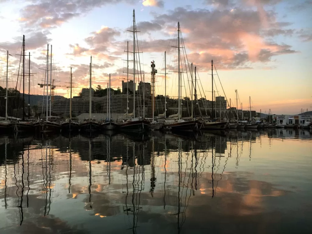 Dfbfb88d 99ae 418b 9d27 3adf192051ff